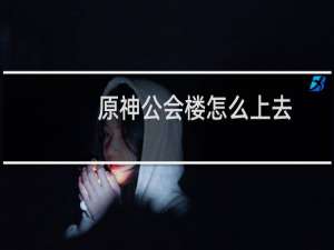 原神公会楼怎么上去