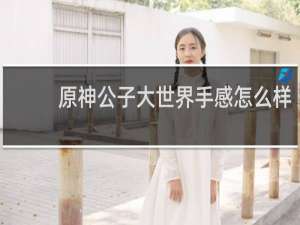 原神公子大世界手感怎么样