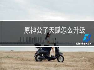 原神公子天赋怎么升级