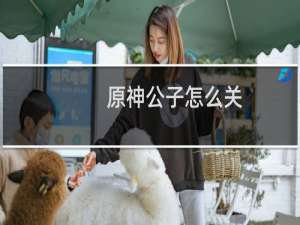 原神公子怎么关