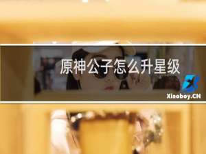 原神公子怎么升星级