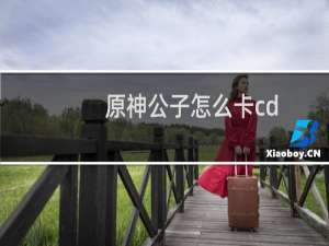 原神公子怎么卡cd