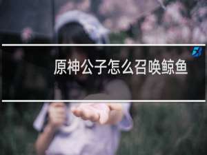原神公子怎么召唤鲸鱼