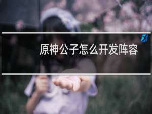 原神公子怎么开发阵容