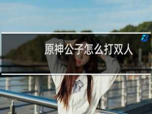 原神公子怎么打双人