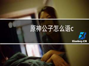 原神公子怎么语c