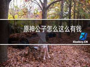 原神公子怎么这么有钱
