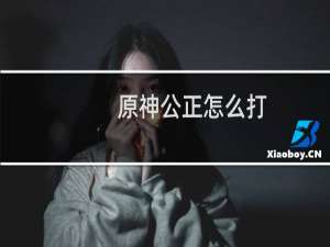 原神公正怎么打