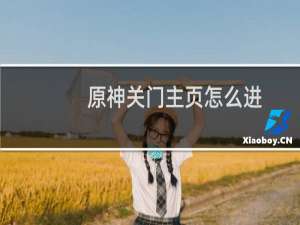 原神关门主页怎么进