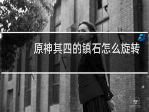 原神其四的镇石怎么旋转