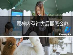 原神内存过大后期怎么办