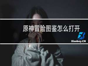 原神冒险图鉴怎么打开