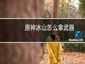 原神冰山怎么拿武器