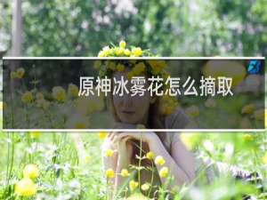 原神冰雾花怎么摘取
