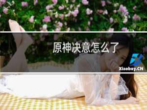 原神决意怎么了
