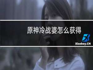 原神冷战婆怎么获得