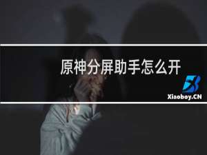 原神分屏助手怎么开