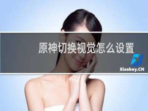 原神切换视觉怎么设置