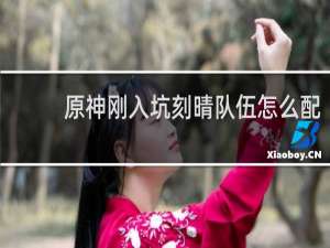 原神刚入坑刻晴队伍怎么配