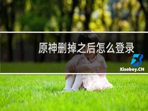 原神删掉之后怎么登录