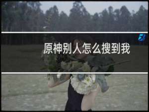 原神别人怎么搜到我