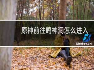 原神前往鸣神洞怎么进入