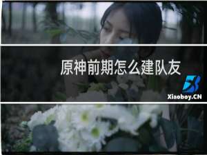 原神前期怎么建队友