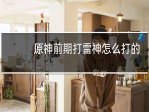 原神前期打雷神怎么打的