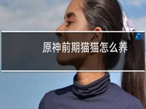 原神前期猫猫怎么养