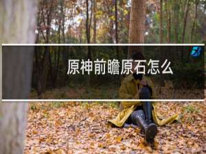 原神前瞻原石怎么