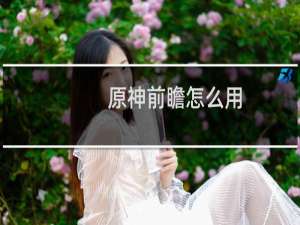 原神前瞻怎么用