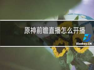 原神前瞻直播怎么开播