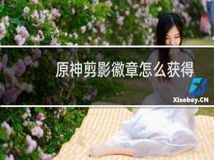 原神剪影徽章怎么获得