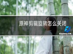 原神剪辑旋转怎么关闭