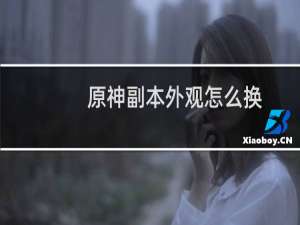 原神副本外观怎么换
