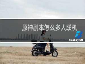 原神副本怎么多人联机