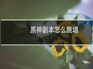 原神副本怎么跳墙
