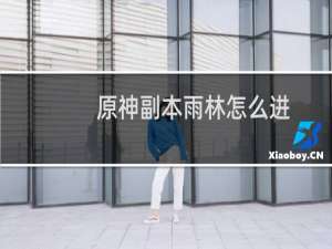 原神副本雨林怎么进