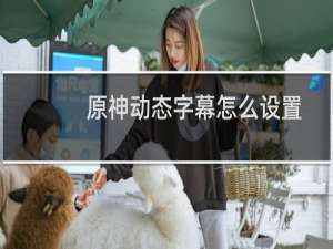 原神动态字幕怎么设置