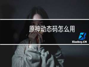 原神动态码怎么用