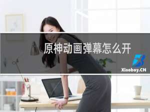 原神动画弹幕怎么开