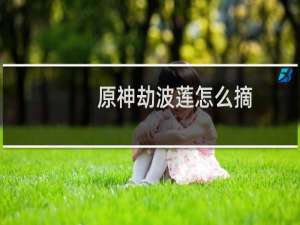 原神劫波莲怎么摘