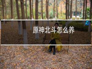 原神北斗怎么养