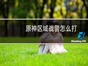 原神区域战警怎么打
