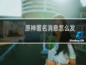 原神匿名消息怎么发