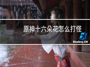 原神十六朵花怎么打怪