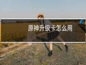 原神升级卡怎么用