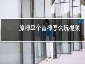 原神单个雷神怎么玩视频