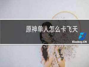原神单人怎么卡飞天