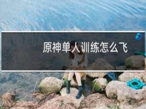 原神单人训练怎么飞